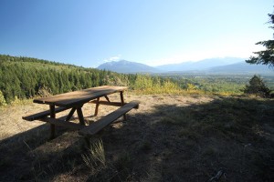 Picnic table swift creek lookout (2)