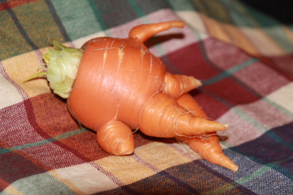 Mutant carrots explained