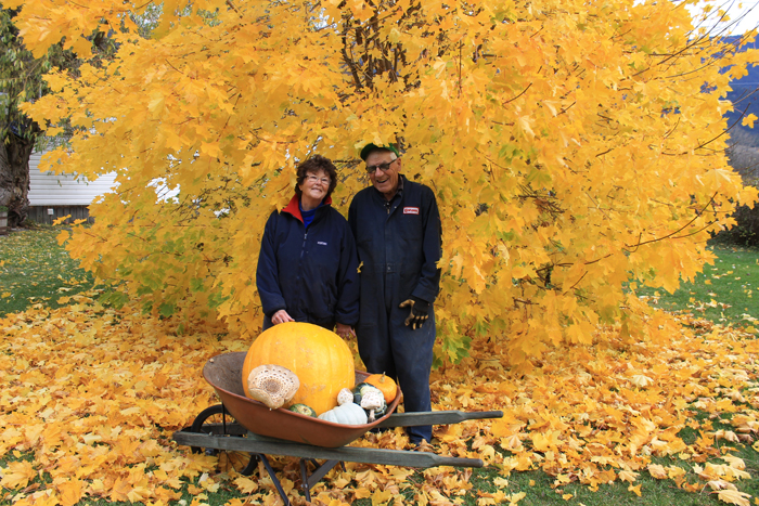 Residents find huge pumpkin and mushrooms