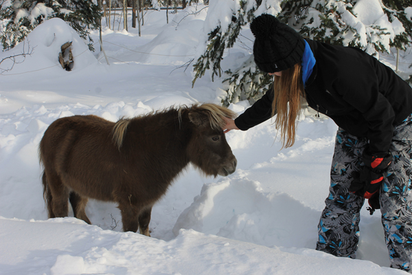 Injured pony runs for first time in 10 years