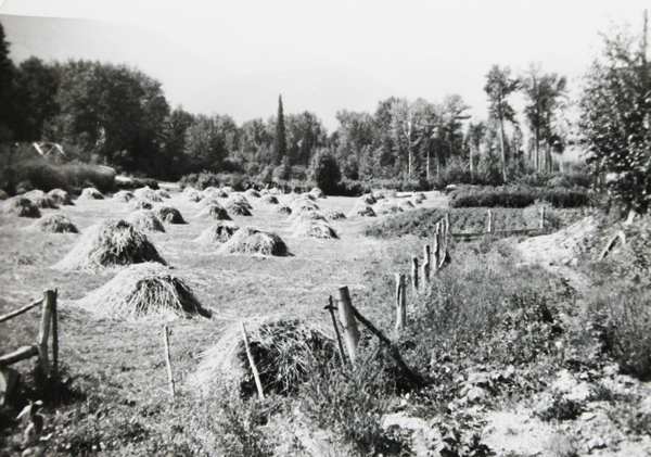 McBride Farmers Institute turns 100 – oldest still-active group in valley