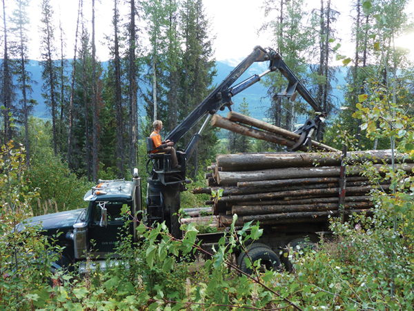 Dunster Community Forest looks to join Valemount, Carrier in stewardship plan