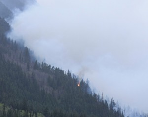 Mt. Robson Fire May 2015 (8)