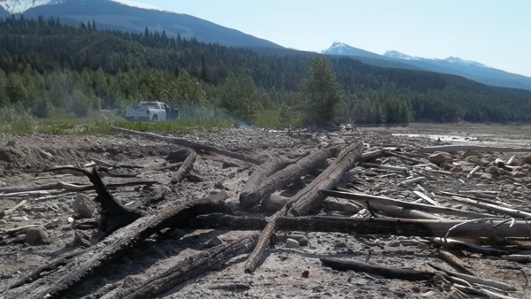 Abandoned Party Fire Sparks Driftwood; RCMP Investigates