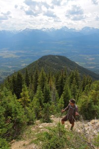 view from mt terry fox valemount 2015