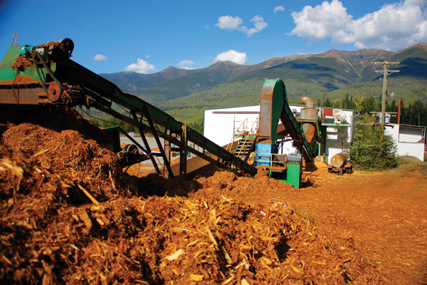 Layoffs pend as Community Forest halts logging