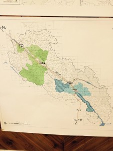 Valemount McBride Carrier license community forest (1)