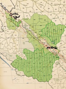 Valemount McBride Carrier license community forest (4)