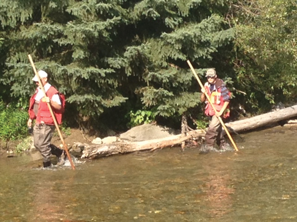 Salmon harassers caught on camera