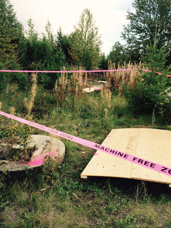 Old mill site gets a green clean