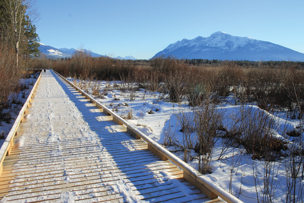 Marsh boardwalk completed