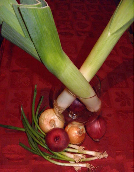 Health Corner: Onions nothing to cry about