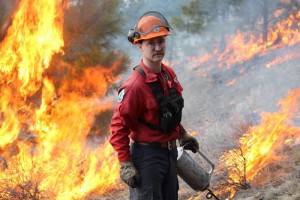 Photo courtesy BC Gov  - A provincial firefighter doing a controlled burn.