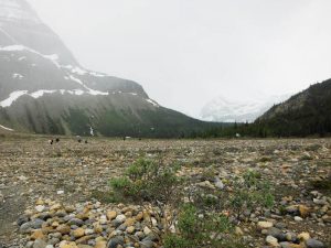 Berg lake_web