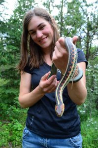 Supplied: Jill McAllister holds up the largest common garter snake she's ever seen, which she named Amber.