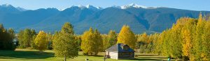 A view of Koeneman Park. / MATTHEW WHEELER