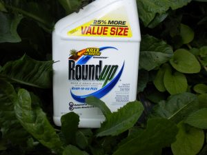 Roundup