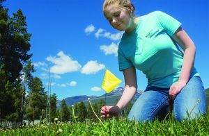 Be water-smart: Madeline Pickerl will be keeping an eye on your sprinklers and alerting you with a yellow flag if you’re watering outside of 7-10 am or 7-10 pm. She’ll be providing free 30-minute water assessments to area residents and free hose timers. / EVAN MATTHEWS