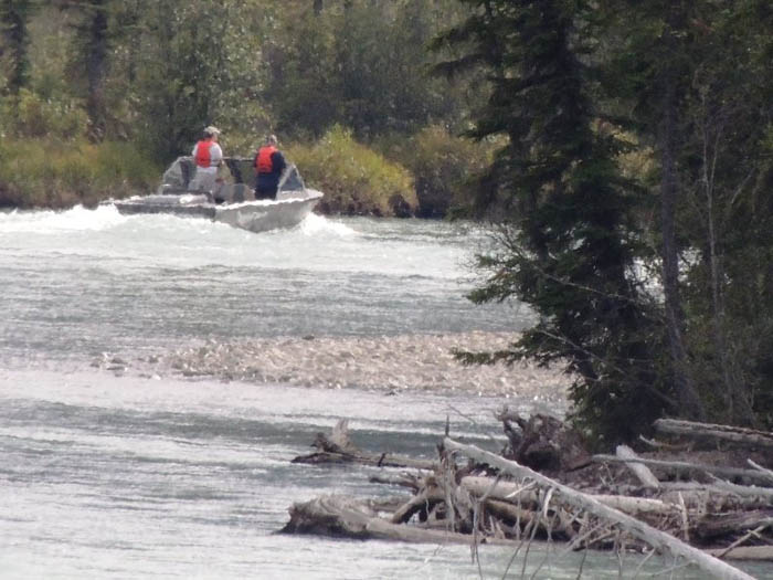 Boaters wreak havoc on salmon spawning