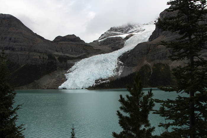 Photo: Dennis Pickerl The Berg Glacier, which runners would have seen from the trail as they approached Hargreaves Shelter.
