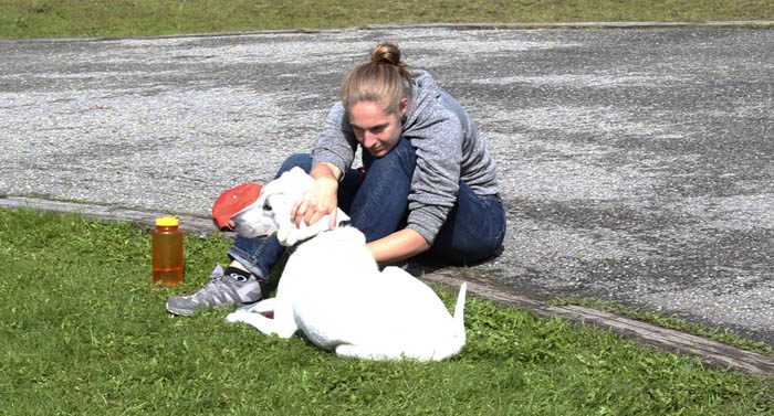 Photo: Evan Matthews Laura Davies is tired from running the Half, and sits with her dog, Pebble, as she waits for her partner, Wolfgang Sterr to finish the Ultra.
