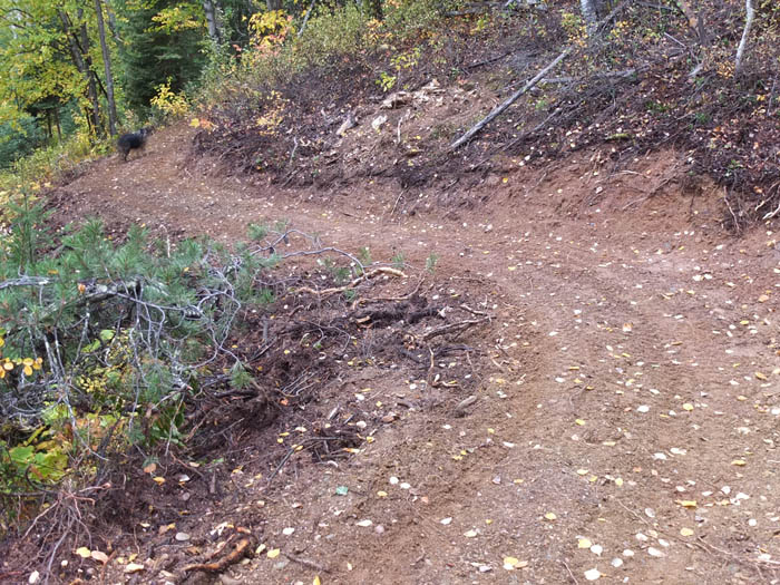 McBride Bike Park: Everyone fired and nothing to see