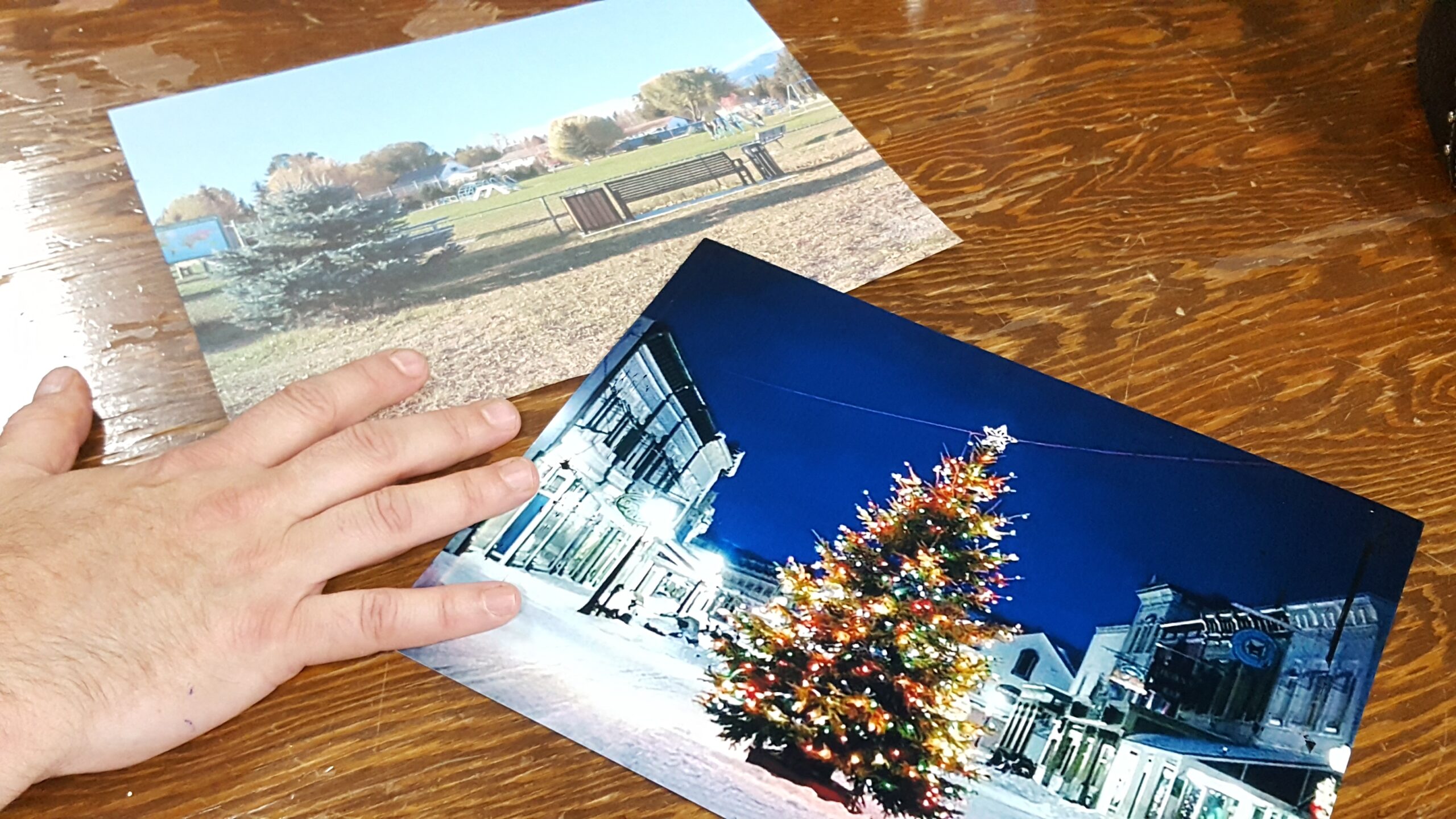 Residents pitch Community Xmas Tree