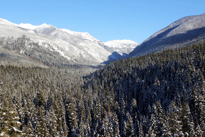 Snowshoe your way into the New Year