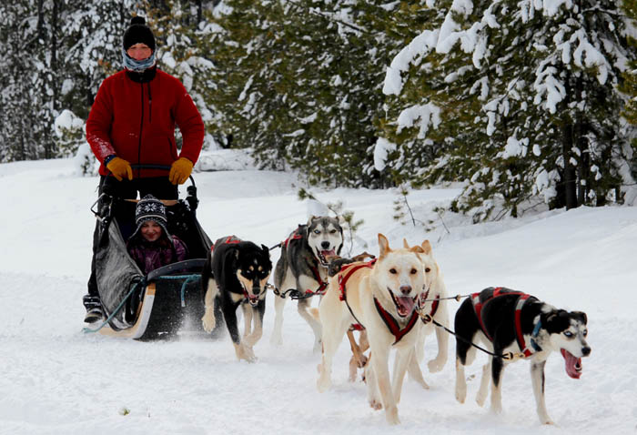 Valemount Winter Festival