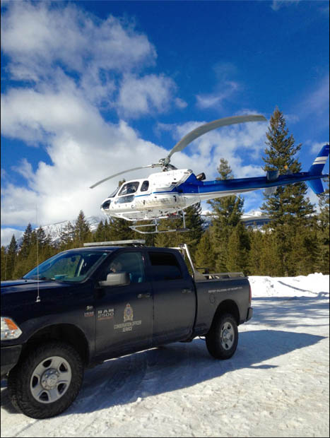 Sledders found in caribou closure; charged