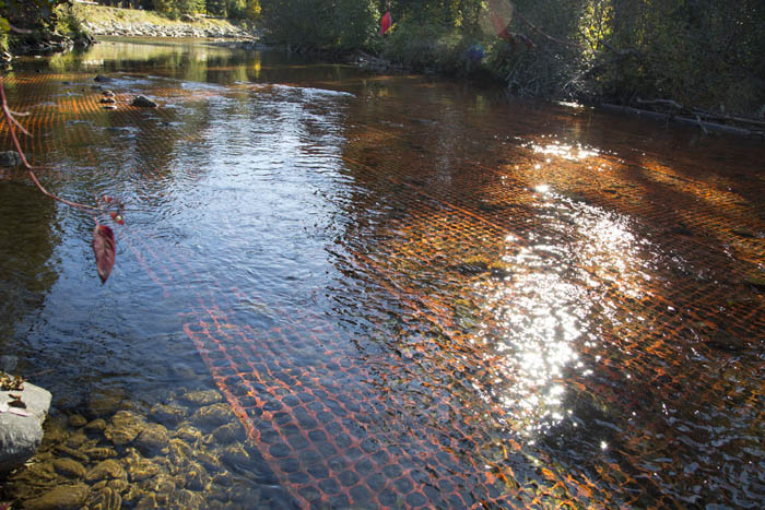 Activists remove pipeline spawning mats near Valemount