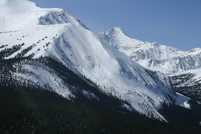 Marmot Basin opens new terrain to public