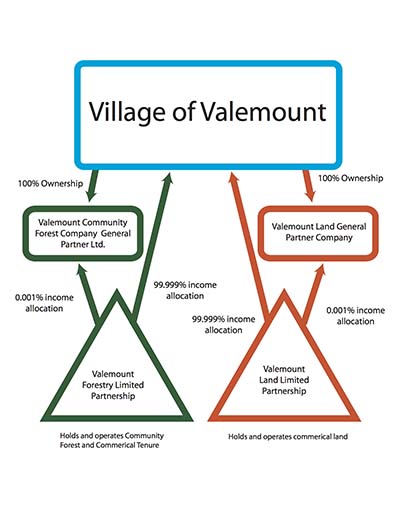 Valemount Community Forest restructure tackles liability, taxes