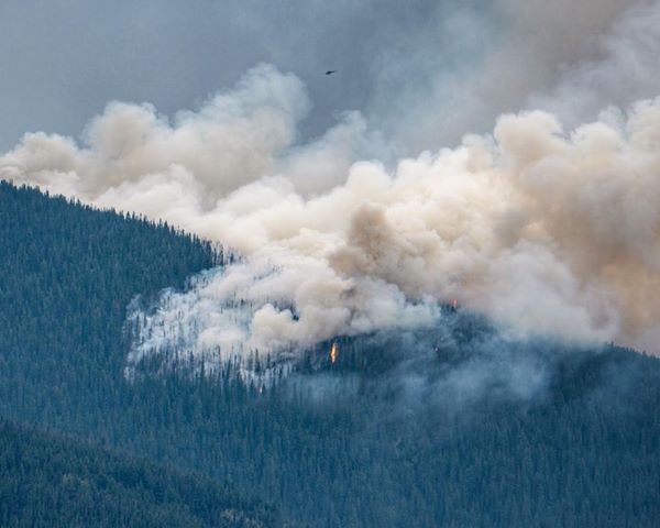 Province declares state of emergency due to wildfires; prepares for “mass evacuation scenario”