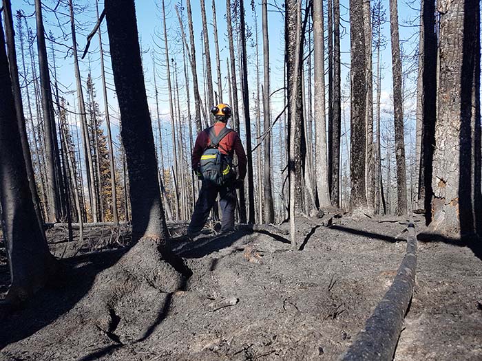 Locals join forces to fight McKirdy mountain fire