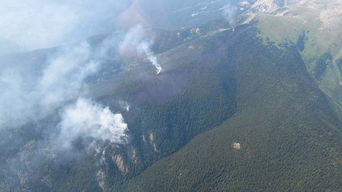 Grad students researching Robson Valley wildfire risk