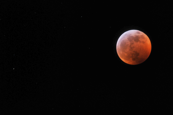 Wolf Blood Moon