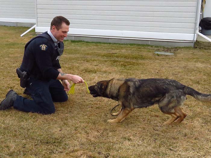 McBride to become home for RCMP dogs in training The Rocky