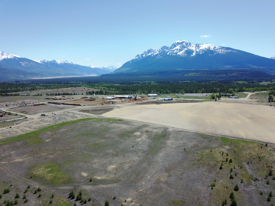 Valemount Community Forest: debt free, able to invest