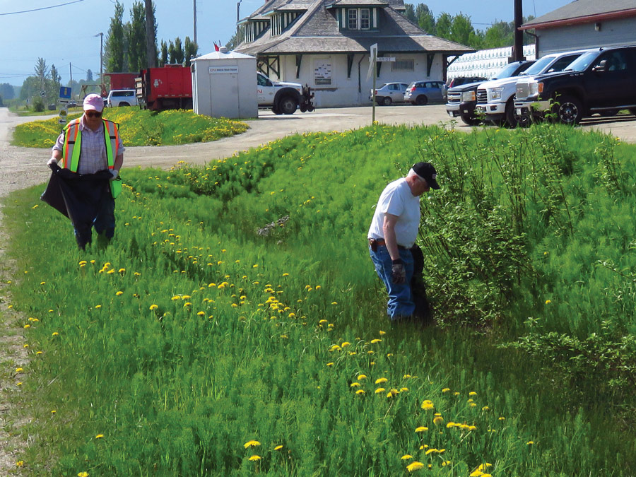 Community Clean-up