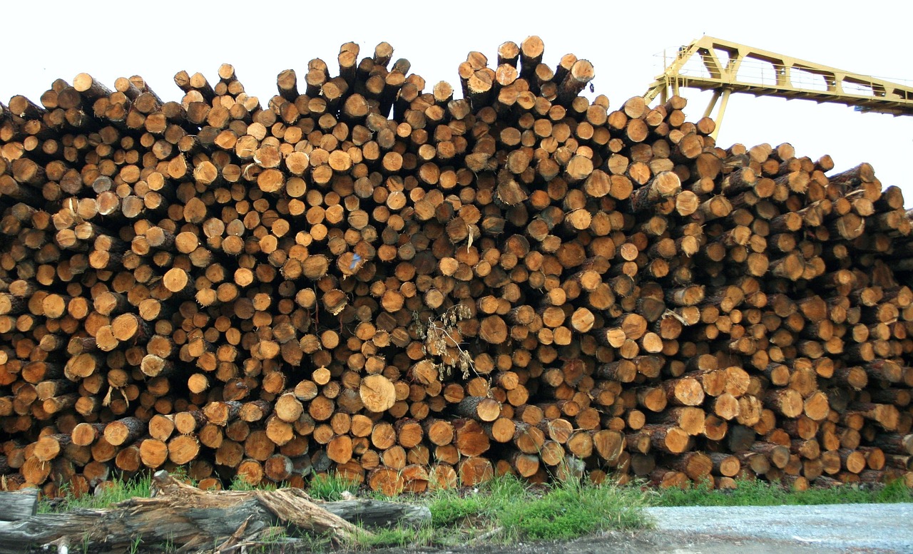 Canfor to close Vavenby Sawmill