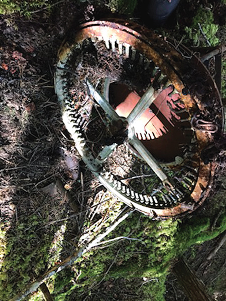 Looking For Goats Man Finds Wwii Bomb The Rocky Mountain Goat Looking For Goats Man Finds Wwii Bomb The Rocky Mountain Goat