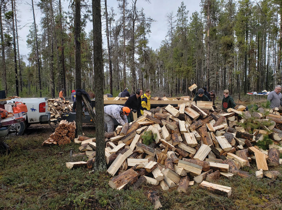 Firewood for seniors