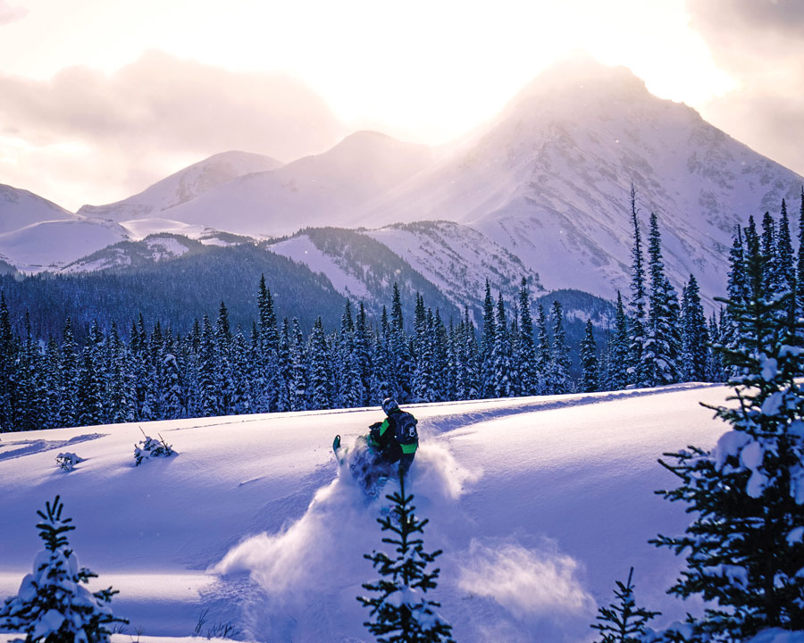 An Avalanche Forecast for McBride