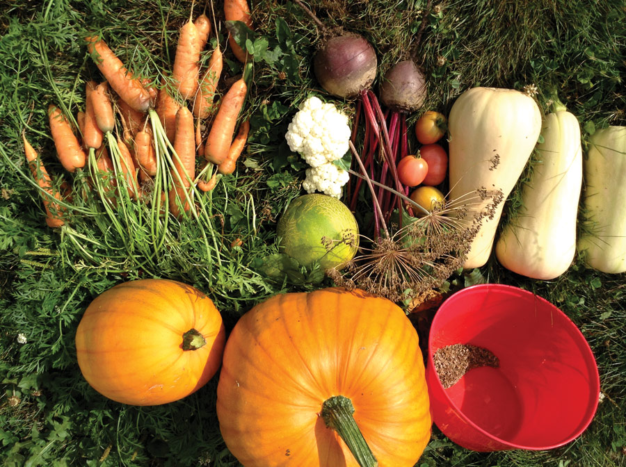 Food literacy gets a boost in Valemount