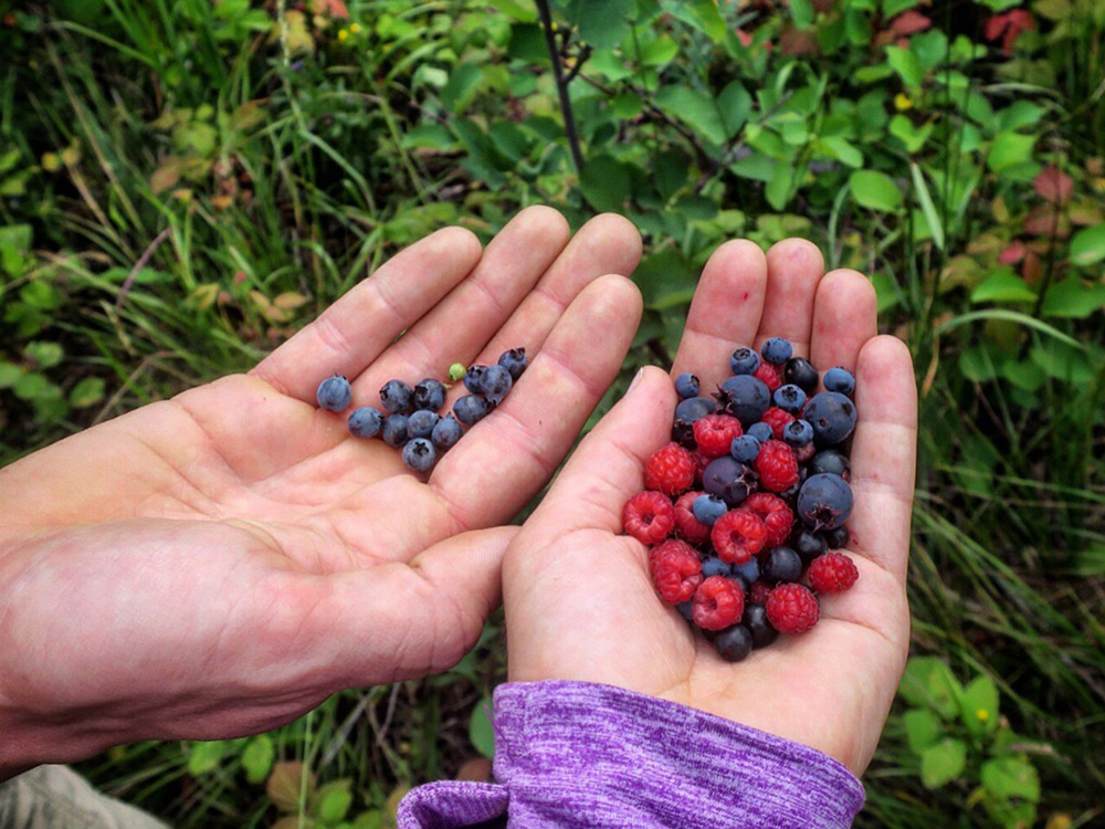 Extending Earth Day into a Spring of Learning