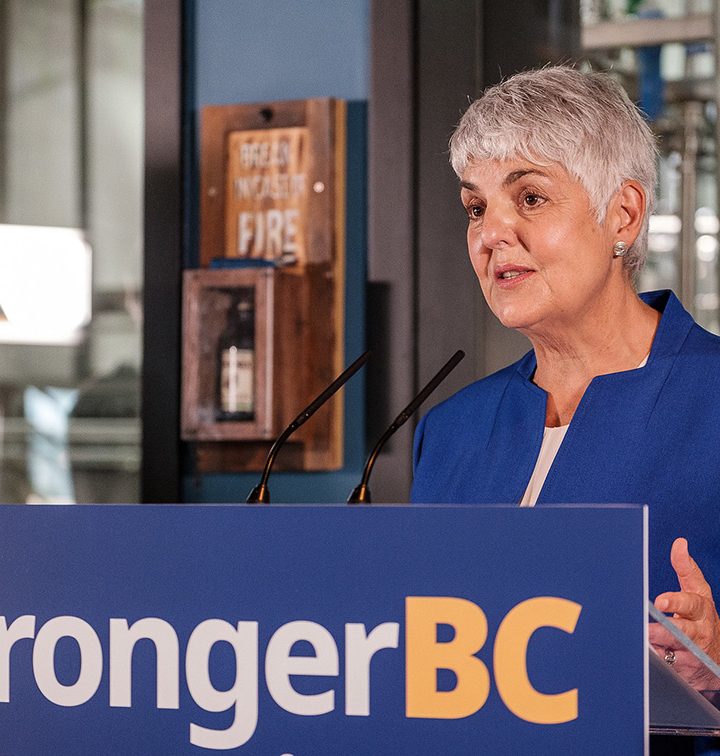 B.C.’s economic recovery plan highlights