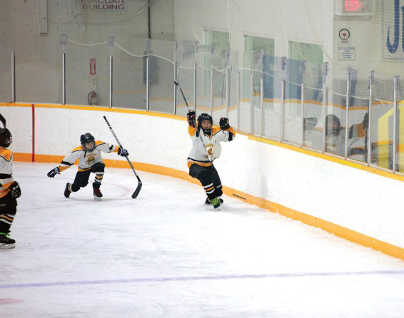 Valemount minor hockey gets the go-ahead