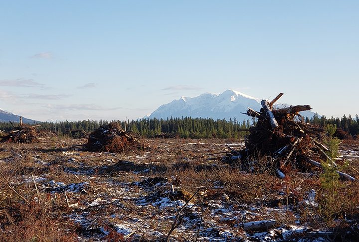 Robson Valley burn pile data show 95 permits