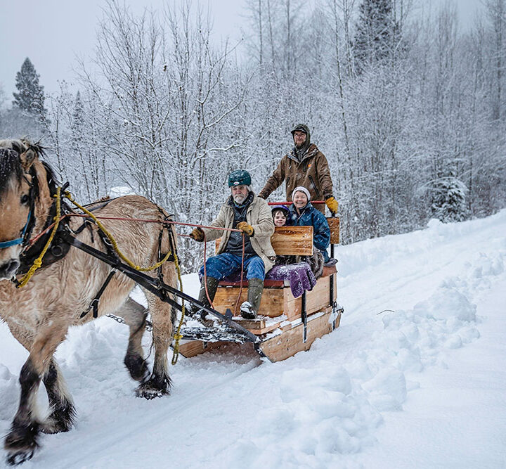 Snow Day! (Photo gallery)